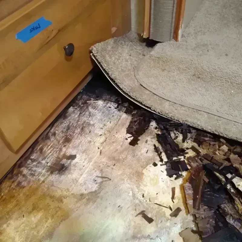 Wood Floor Water Damage in New Richland, MN